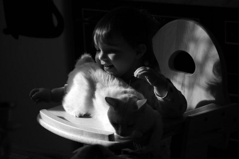 chihuahua potty training problems