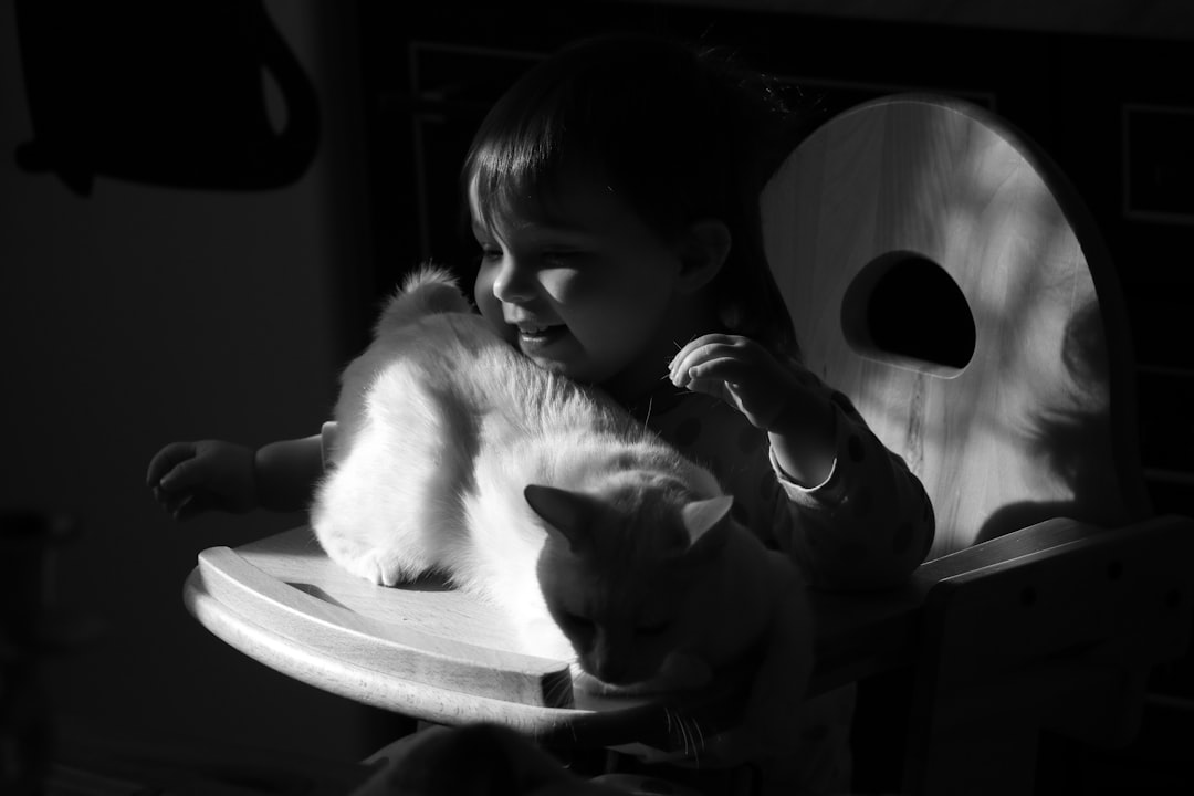 chihuahua potty training problems