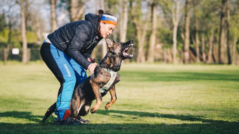 dog training mistakes new owners make