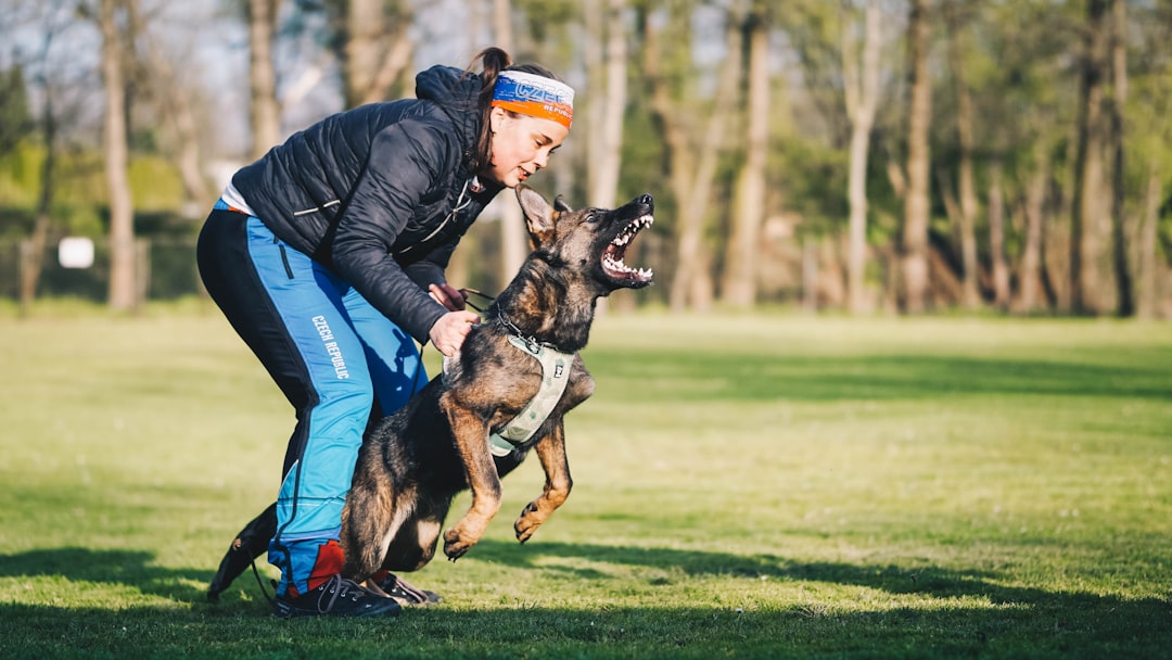 dog training mistakes new owners make
