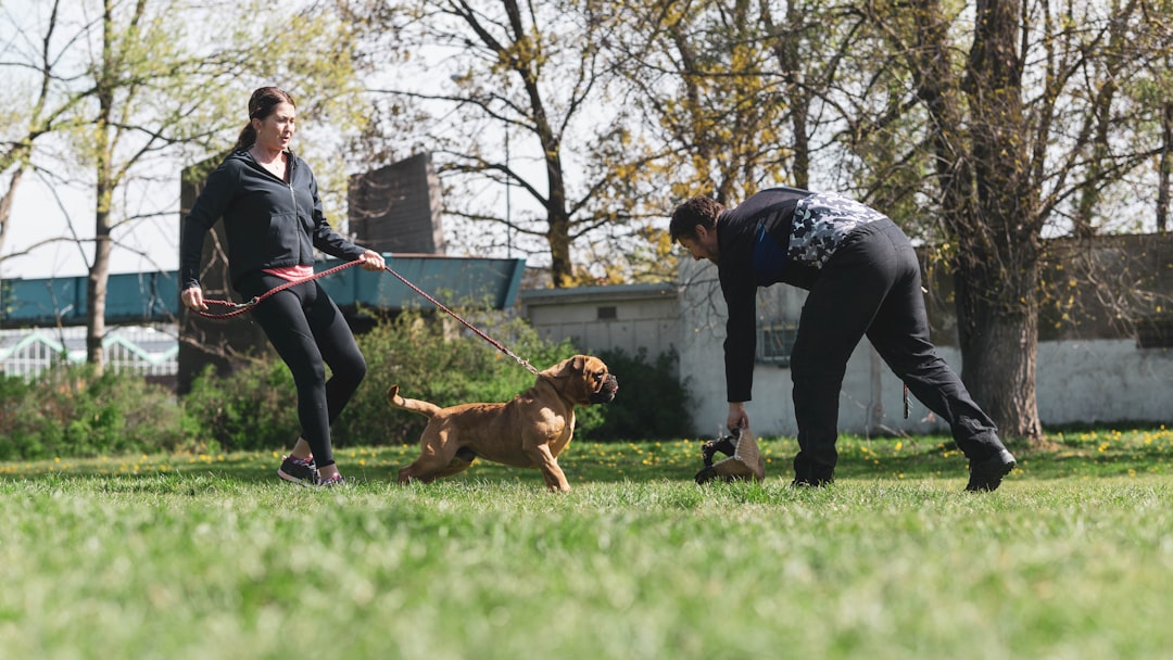 five minute dog training sessions benefits
