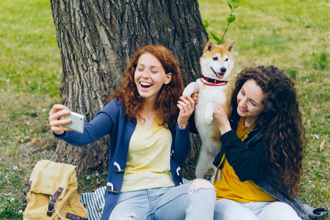 how to socialize adult dog with other dogs