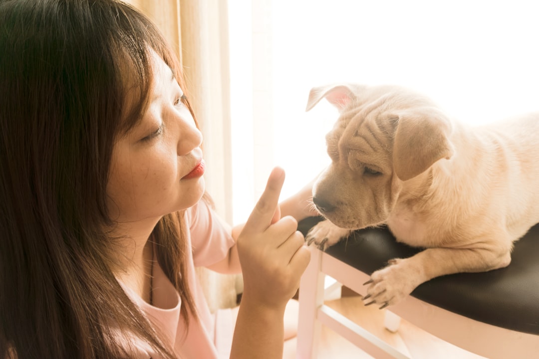 train dog to tolerate nail trimming at home
