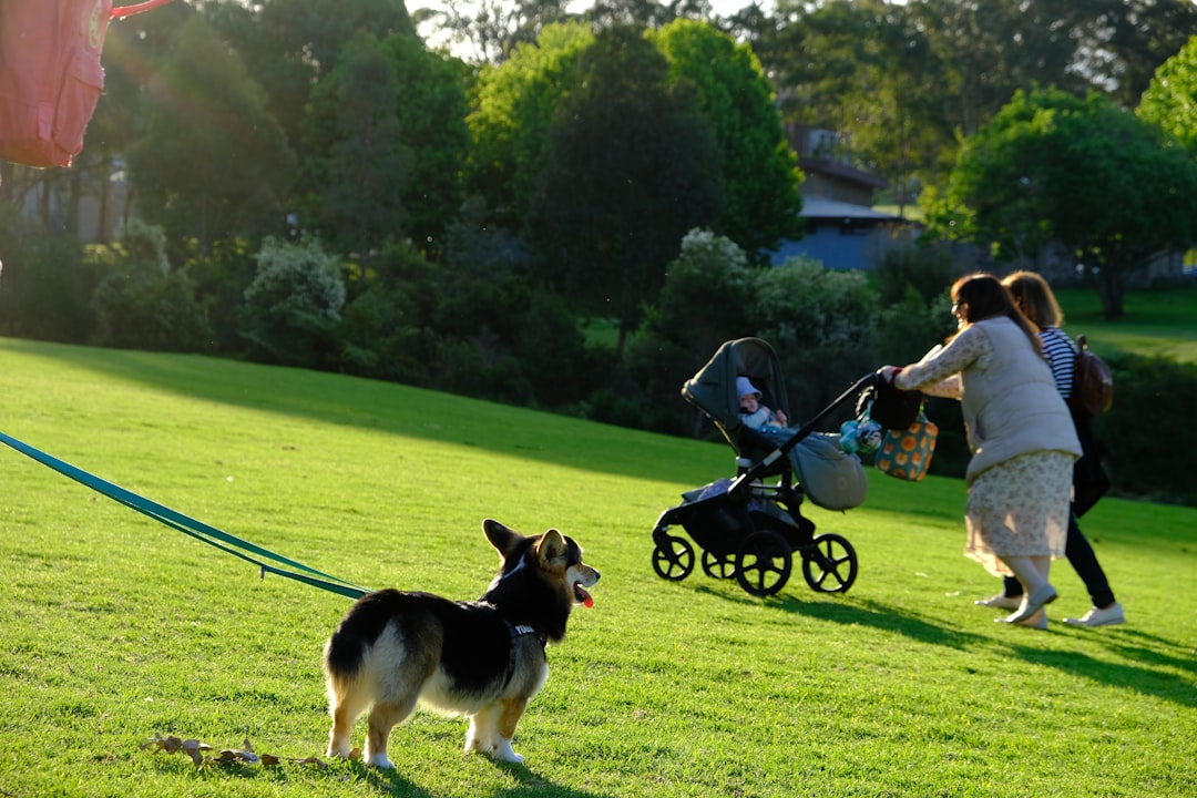 training dog around toddlers and small kids