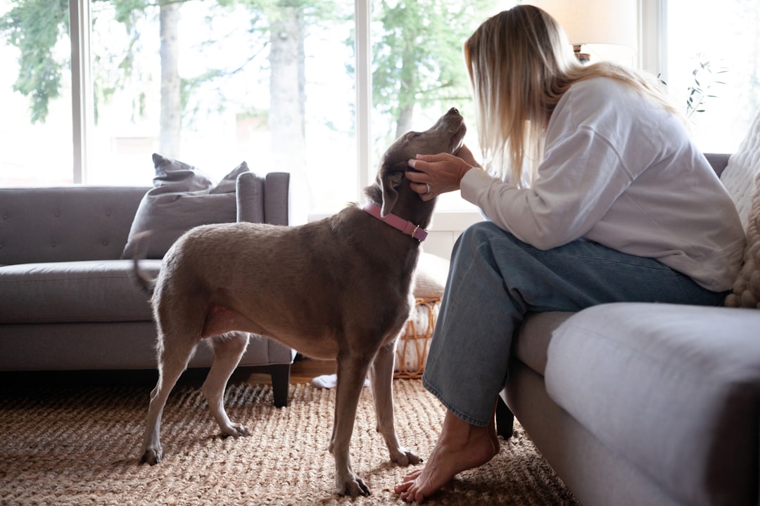 emotional support dog training basics at home