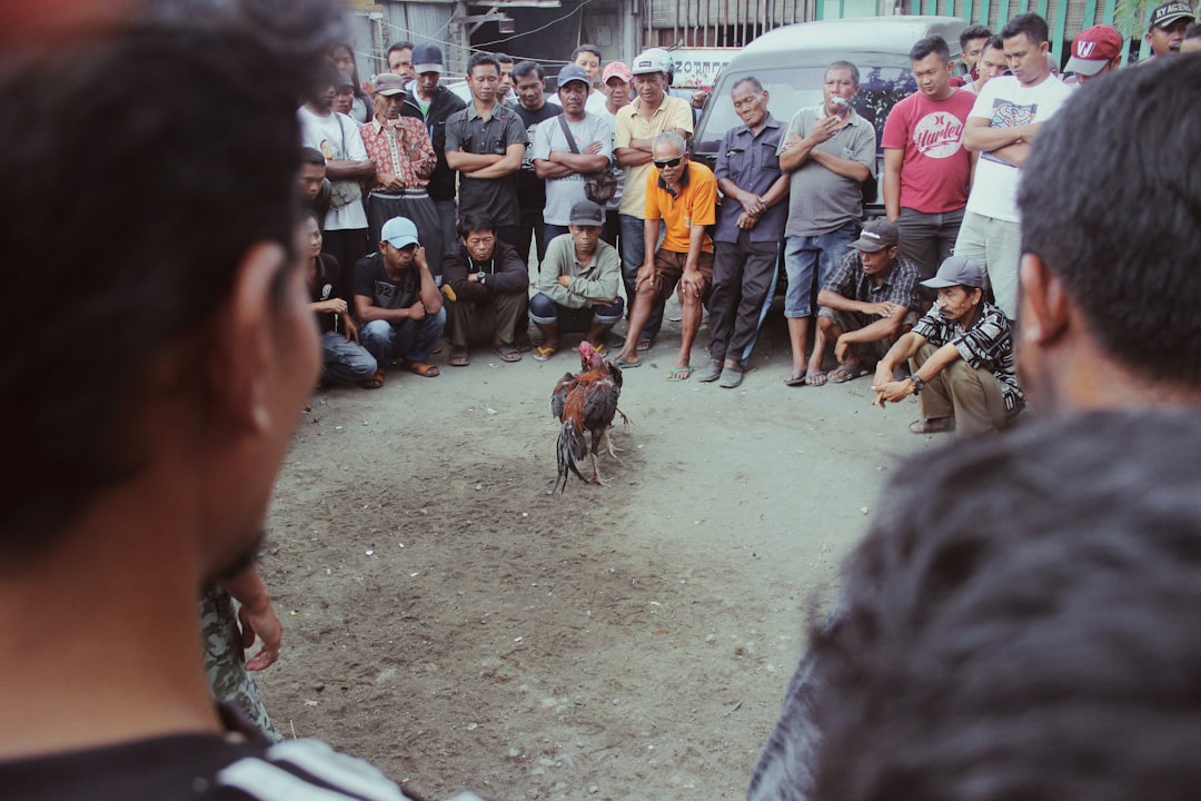 training rescue dog that was never socialized