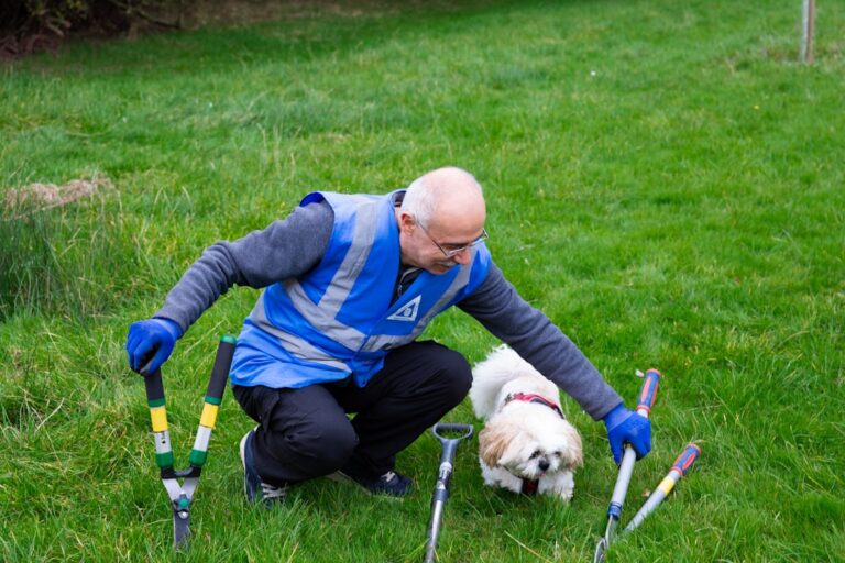 blind dog training tips and home adjustments