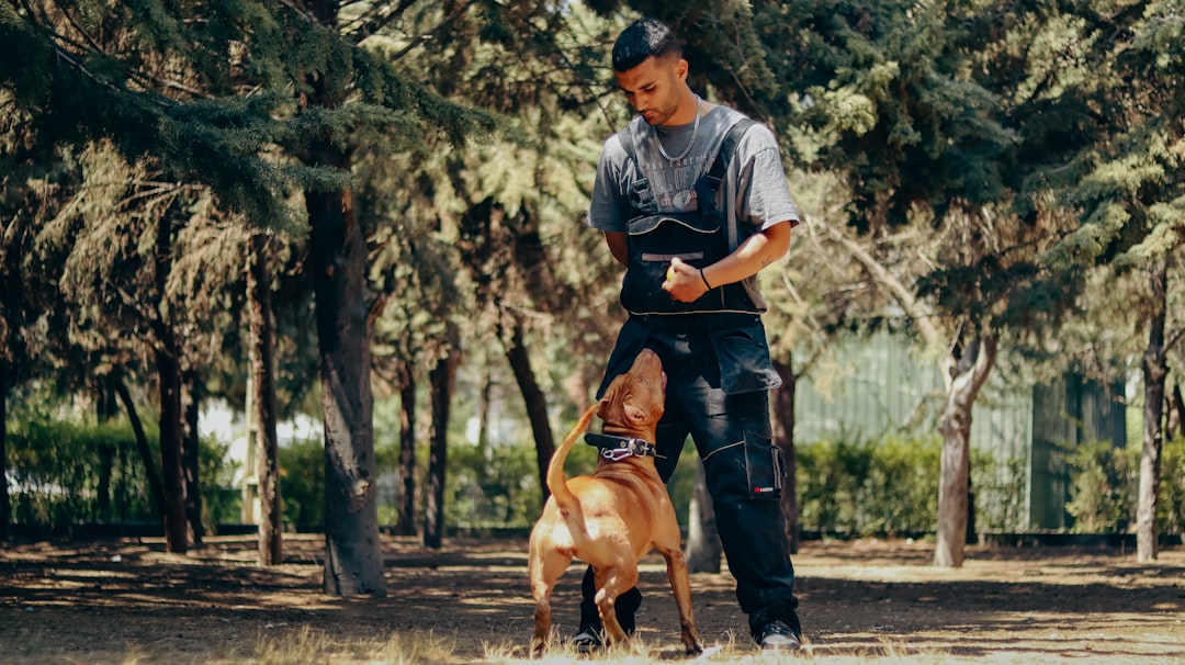 free shaping dog training method guide